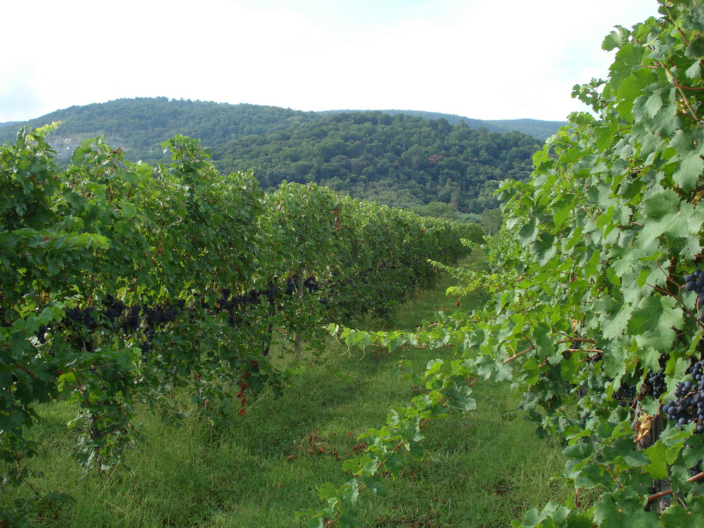 Interchange Providing 3PL Services to Booming Virginia Wine Industry